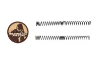 SILVERBACK x Desert Tech MDRX Micron V3 Flat Dark Earth